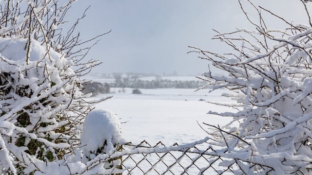 Snow-ice warning issued nationwide