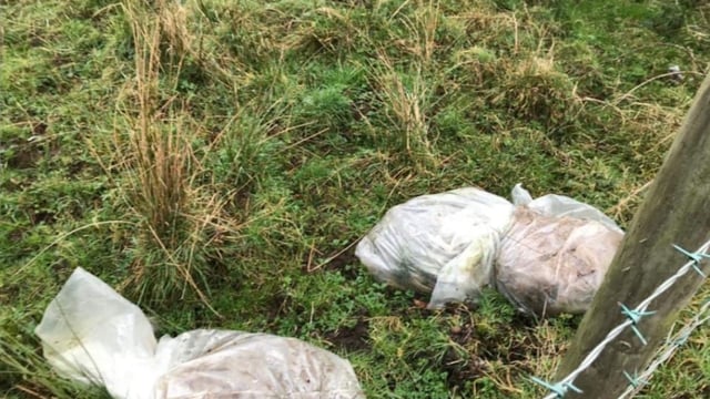 Dead calves found dumped in plastic bags