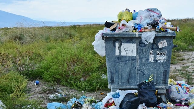 Government to cease purchase of single-use plastics from today
