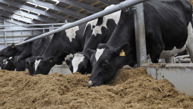 Initial 2019 dairy profit monitor results reveal a €150/ha increase in net profit