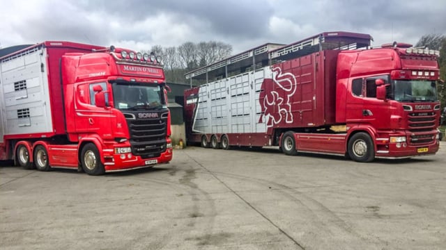 Creed must prioritise live trade - IFA's Healy
