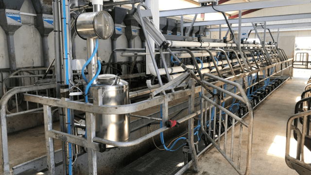 January domestic milk intake up 0.6% on previous year