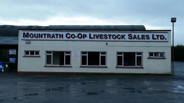 Mountrath Mart co-op seeking 'community support' to re-open this year