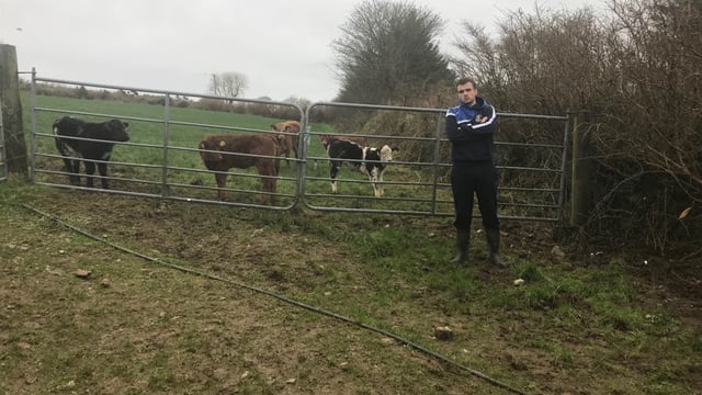 Part-time farmer 'On the Ball' with team building weekends