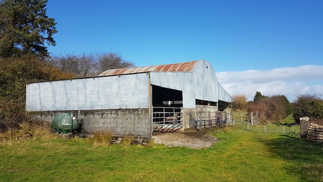 Hogan 'very anxious' that beef aid goes directly to farmers