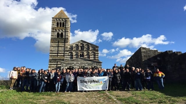 SheepNet to hold Irish workshop in June