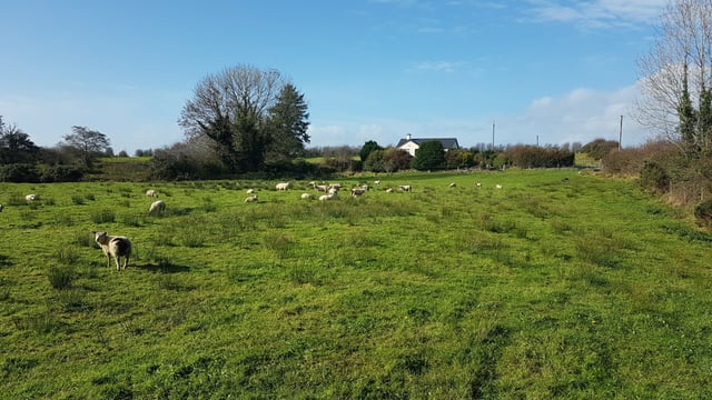 Co. Mayo location sees 48ac of mixed-quality agricultural land in 1 parcel