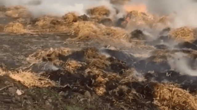 Christmas chaos: 50 bales lost in Kerry farm fire