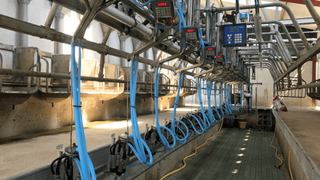 Dairy advice: Time to service your milking machine