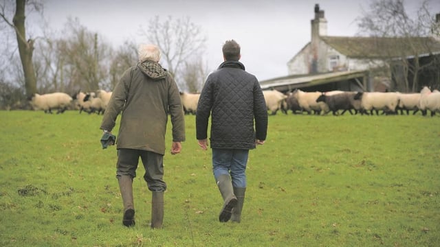 CAP plans prior to generational renewal 'putting cart before the horse' - CEJA