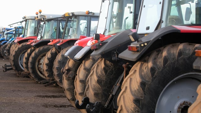Auction report: 'If she's not red, leave her in the shed'