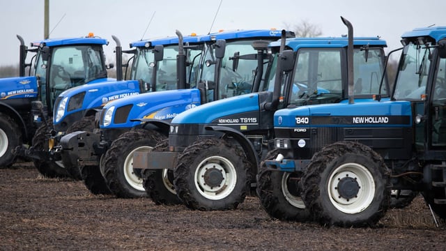 Auction report: 'If she's not blue, she just won't do!'