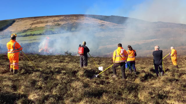 Wicklow group 'disappointed' at burning season deadline