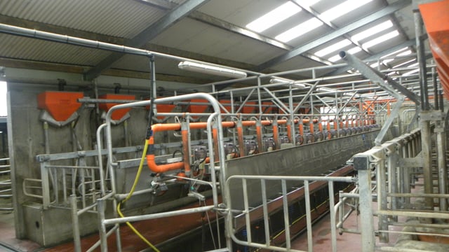 Aurivo announces milk price boost for January supplies
