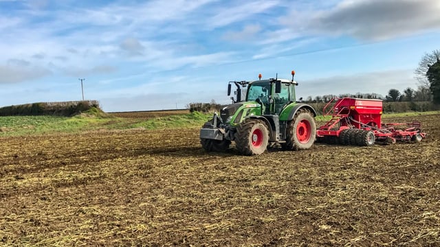 Sowing spring beans? Here are a few tips