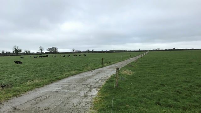 Slowing grass growth and getting 2020 grazing ready