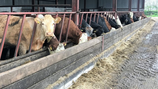 Having all the essentials ready for the calving season