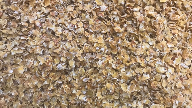 Could we learn from the Canadians on how to manage mycotoxins?