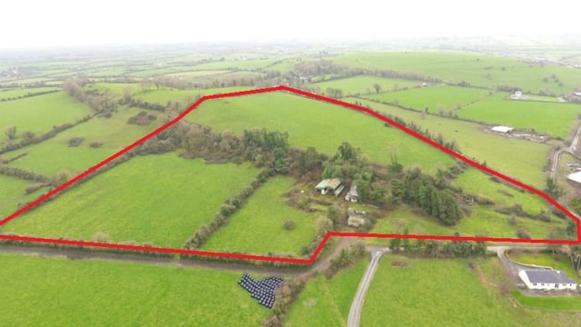 Superb holding ideal for beef, dairying or equestrian uses on 74ac