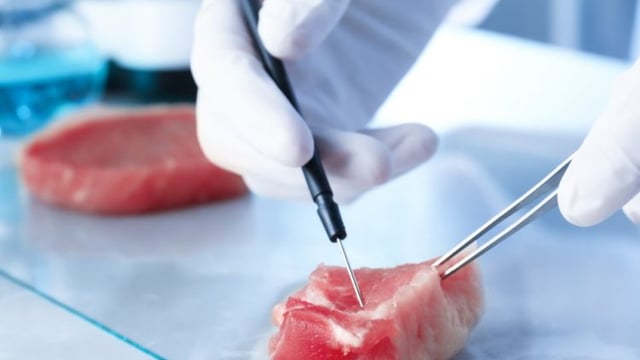 Is lab-grown meat really better for the environment?