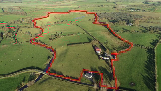 'Very fine' grass farm in one block for sale by public auction in Co. Carlow