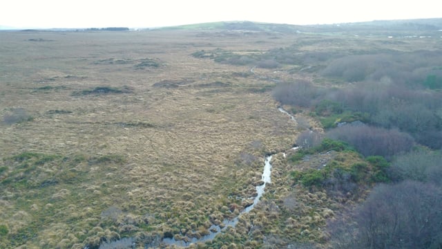 138ac with grazing land potential for sale at €978/ac in Co. Galway