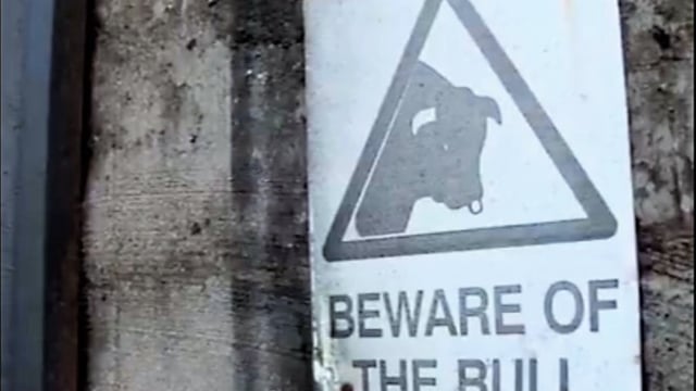 'It was like a bus hit me': Stark safety warning following bull attack