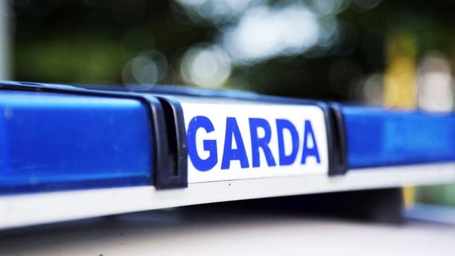 Livestock killed in traffic collision on Meath motorway