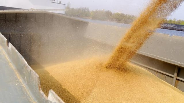 Wheat imports rise by 40% in 2018