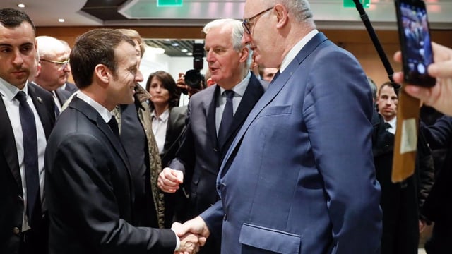Hogan receives exclusive French honour for 'agricultural merit'