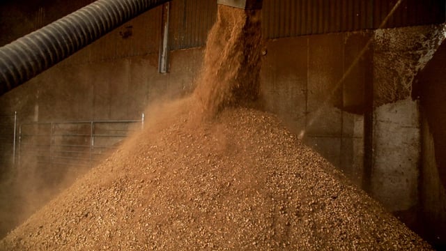 Is feeding those extra dairy cows really making you any more money?