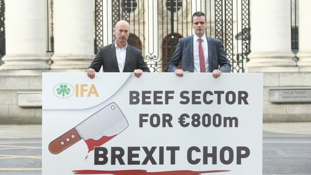 Beef sector facing '€800 million direct hard Brexit hit' - IFA