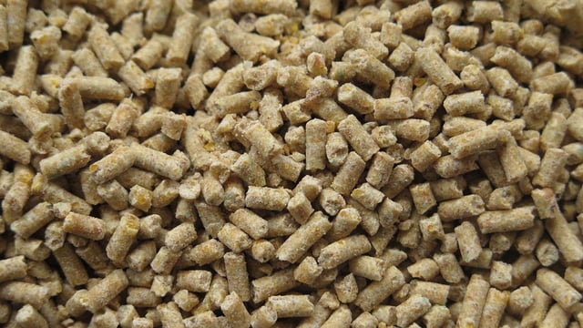 What kind of animal feed products are we importing?