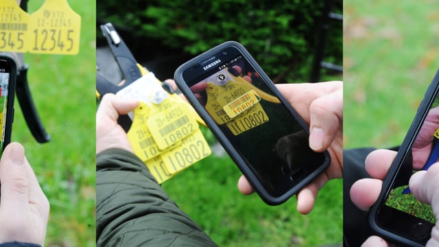 Herdwatch tackles 'common cross-compliance issue' in new move