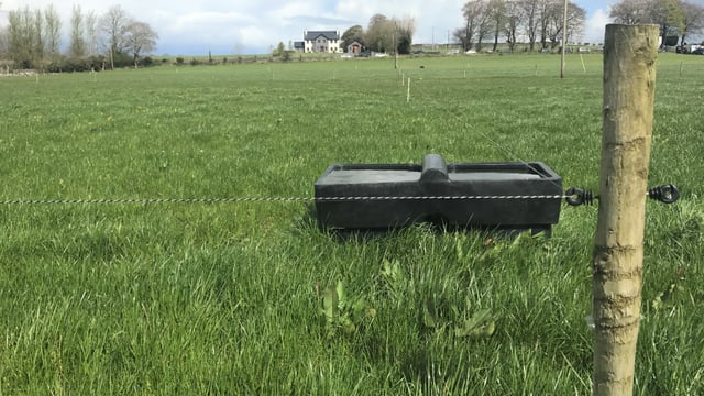 Grass advice: Don’t forget a strip wire and back-fence