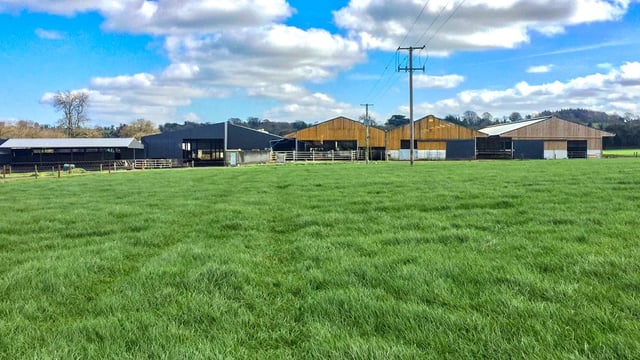 Dairy focus: 166% increase in cow numbers in Co. Meath
