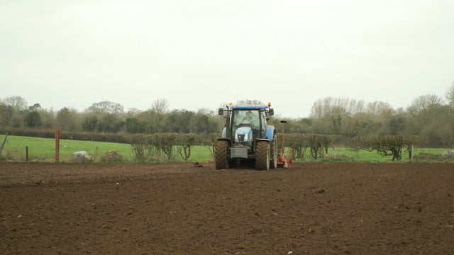 Malting barley: 'It's better that growers stick together until there's a deal agreed'