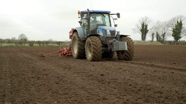 Earlier finish increases area of winter oilseed rape