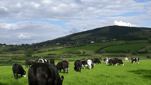 Climate Action Committee decides against GHG tax on agriculture