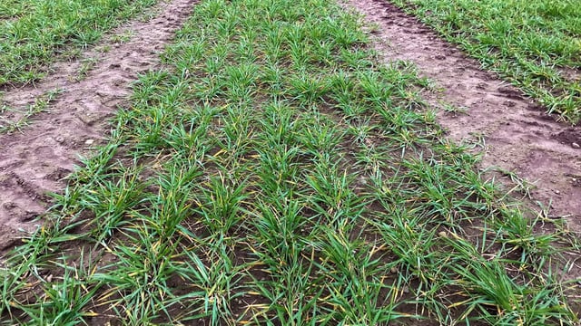 Boortmalt leaving negotiations open for as long as possible