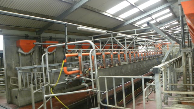 Kerry cuts milk price for July supplies