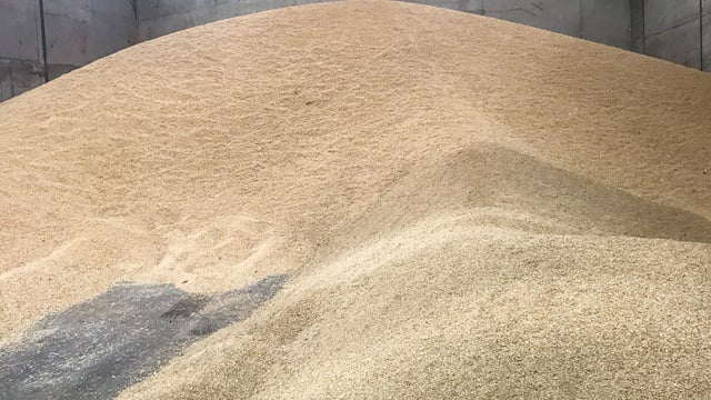 'Dire' grain price must not be followed - IFA
