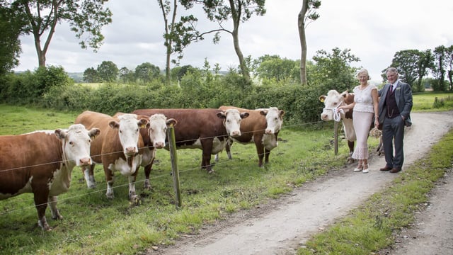 Is Millbawn Polly Ireland's oldest pedigree cow?