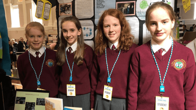 Clare pupils win Intel award for ‘Cows, The Good, the Bad, and the Ugly’ project