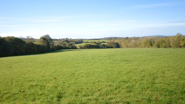Land prices averaging €9,554 - SCSI/Teagasc report