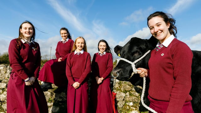 Winners of the 2019 Angus Beef Schools' Competition announced