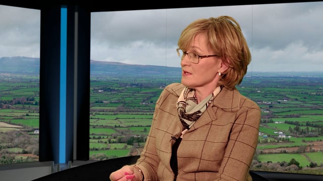McGuinness becomes first MEP elected in Ireland