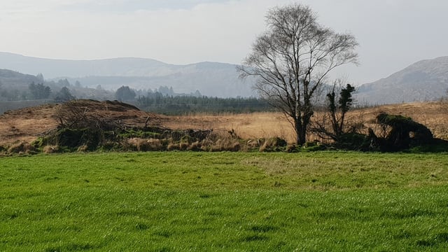 Co. Cork farm with mixed-quality land sees guide price of €2,725/ac