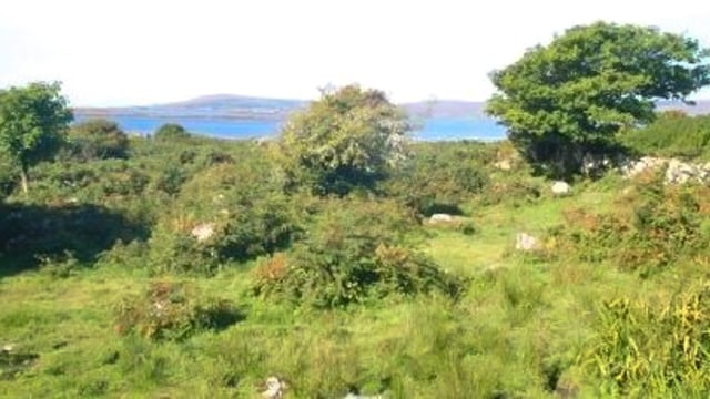 Coastal farm sees guide price of €2,941/ac in Co. Galway