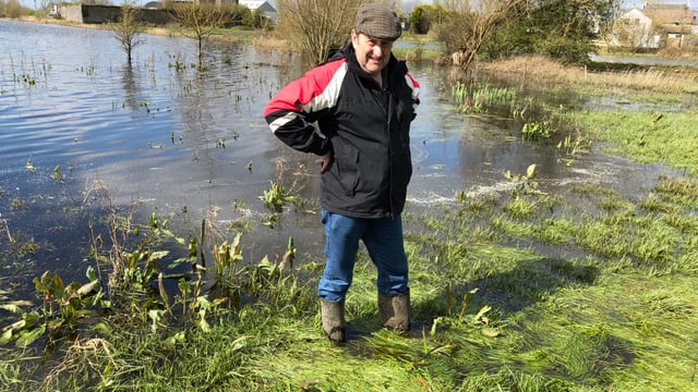 Fears farming no longer sustainable in Shannon Callows